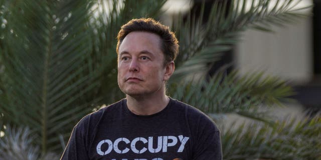 Tesla CEO Elon Musk and more than 1,000 tech leaders and artificial intelligence experts are calling for a temporary pause on the development of AI systems more powerful than OpenAI's GPT-4, warning of risks to society and civilization. 