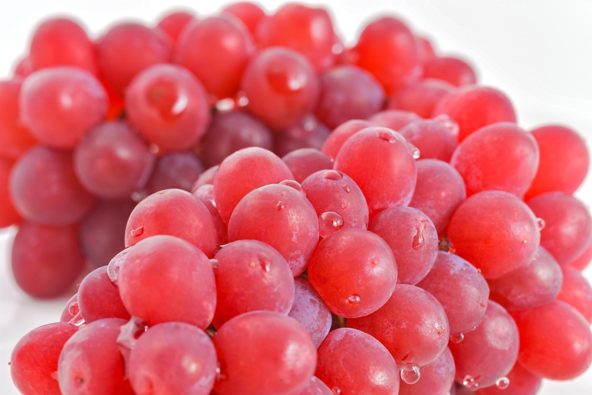 Research Paper: Adipose tissue angiogenesis genes are down-regulated by grape polyphenols supplementation during a human overfeeding trial. Image Credit: Basico / Shutterstock