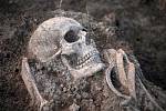 Excavated grave with skeleton.  Illustrative photo.