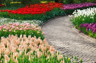 8 основни правила, които е най-добре да не нарушавате при присаждането на цветя