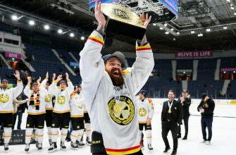 Brynäs is back in the SHL - drove over Djurgården in the final series
