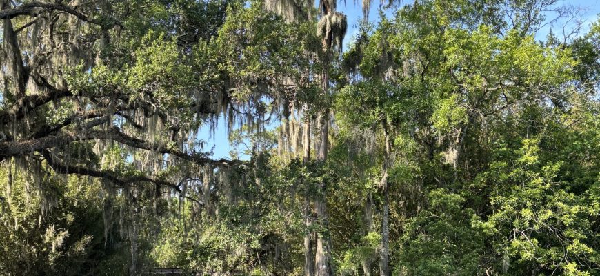 Exploring the Wonders of Kissimmee Beyond the Theme Parks -