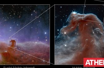 James Webb: Images of the Horsehead Nebula