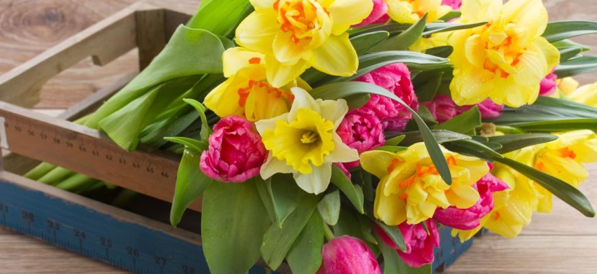 Magic with old crates: Don't throw them away, but make original spring decorations out of them