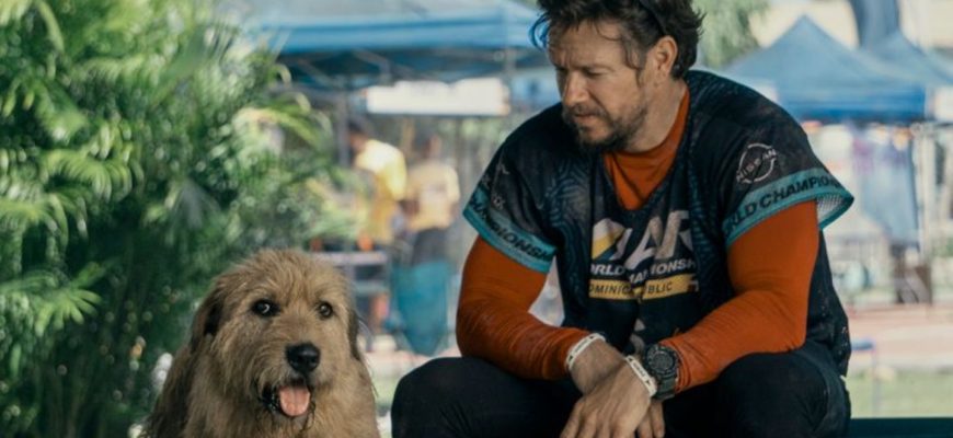 Mark Wahlberg runs through the jungle with his dog