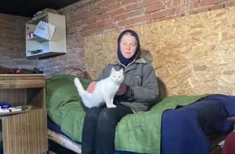 The situation in the Kharkov region - how people live in liberated villages