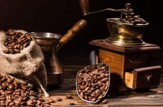 Where and how did Arabica coffee appear?