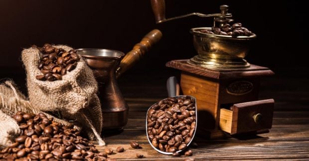 Where and how did Arabica coffee appear?